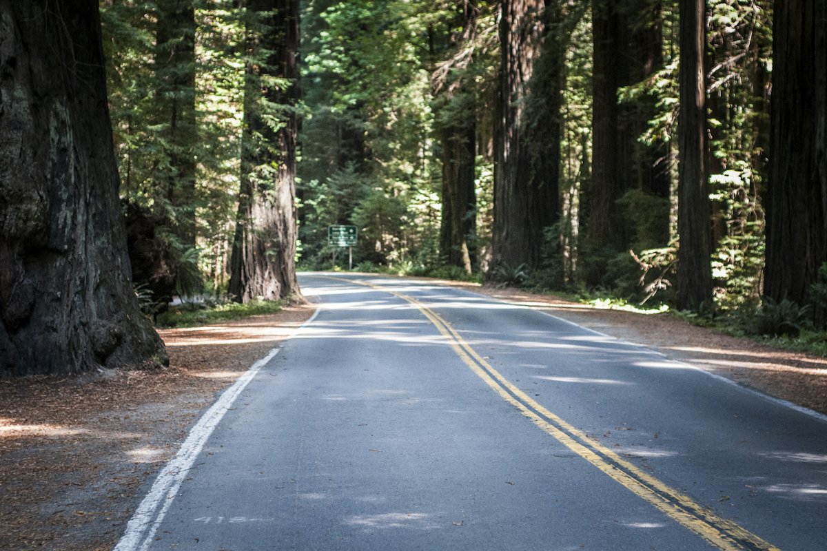 A two-lane road running between tall redwood trees near Crescent City