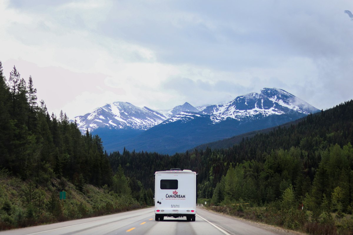 A white motorhome driving along a mountain road through forest