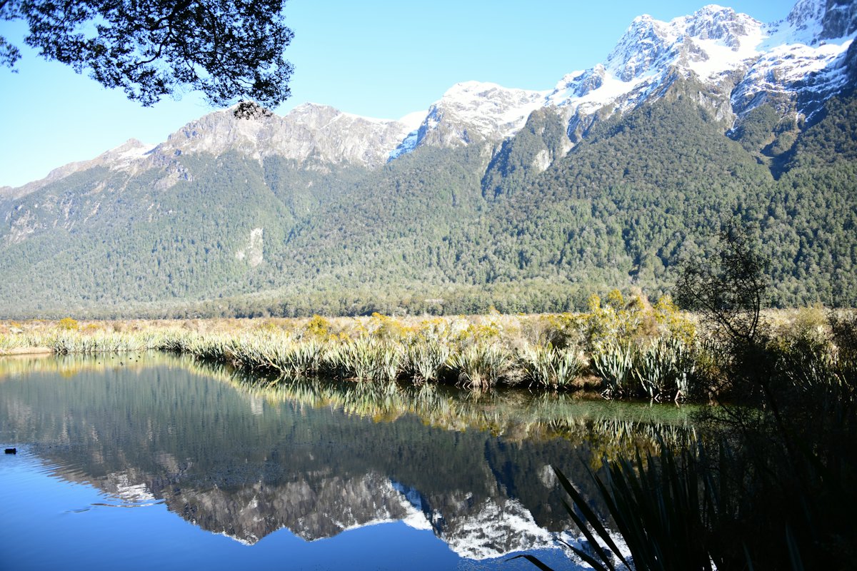 Snow-capped mountains reflected in the Mirror Lakes on the Milford Road