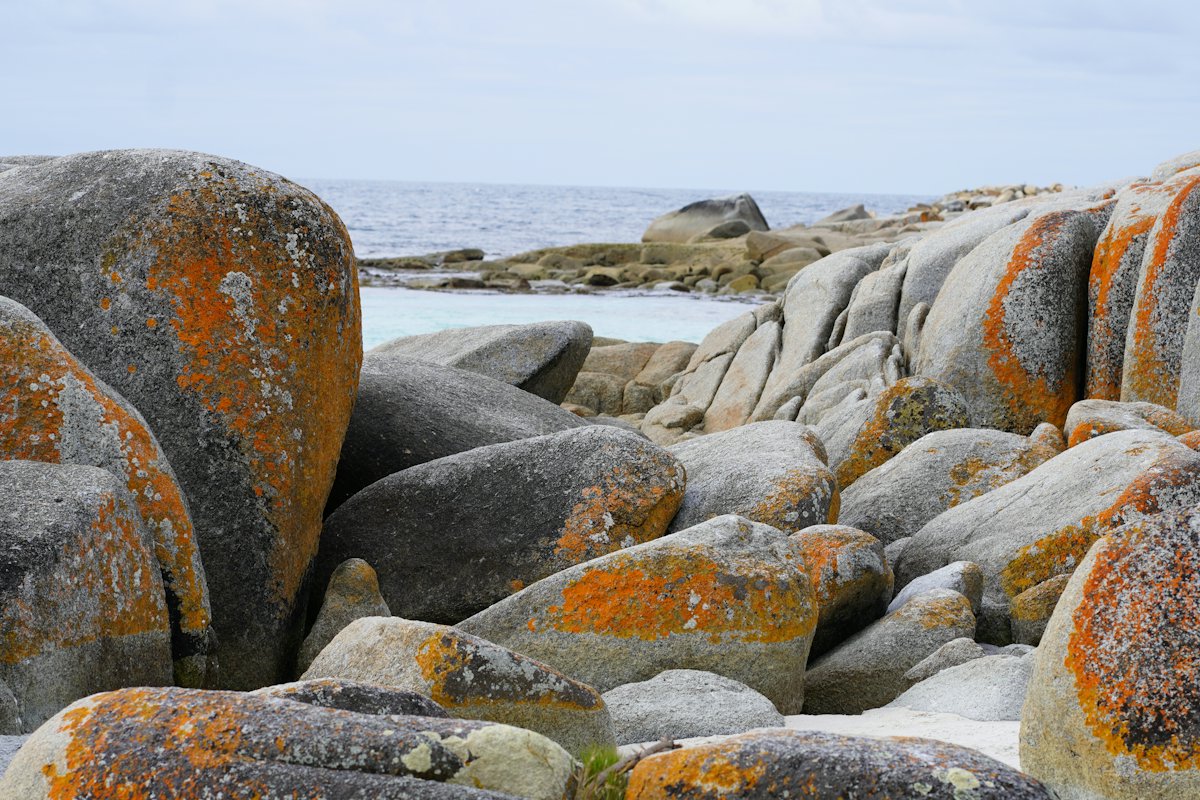 Granite boulders covered in orange lichen beside clear water at Binalong Bay